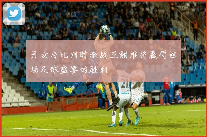 丹麦与比利时激战正酣谁将赢得这场足球盛宴的胜利