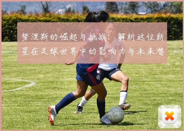 努涅斯的崛起与挑战：解析这位新星在足球世界中的影响力与未来潜力