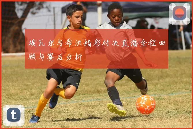 埃瓦尔与希洪精彩对决直播全程回顾与赛后分析