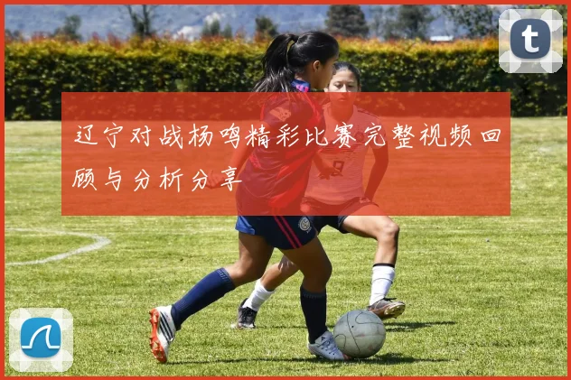 辽宁对战杨鸣精彩比赛完整视频回顾与分析分享