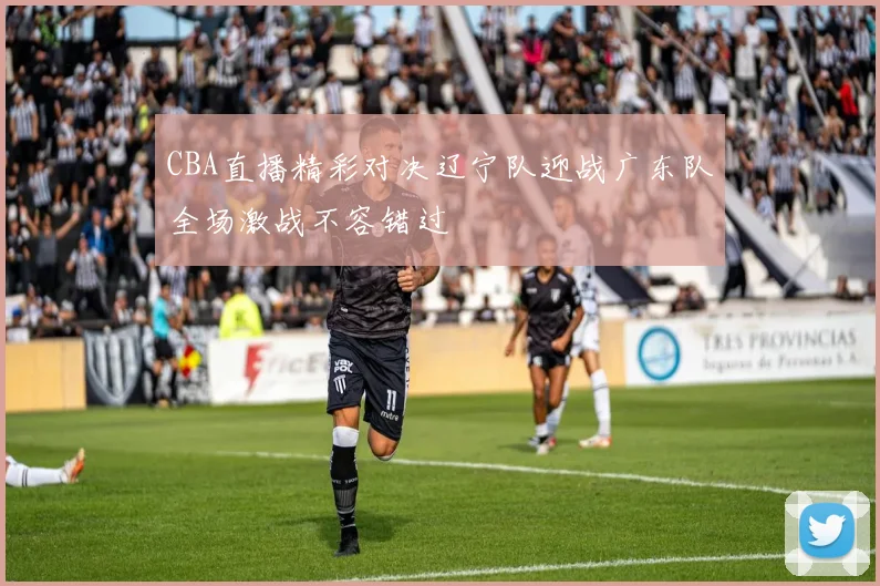 CBA直播精彩对决辽宁队迎战广东队全场激战不容错过