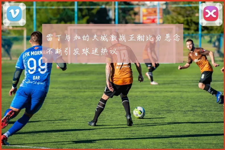 雷丁与加的夫城激战正酣比分悬念不断引发球迷热议