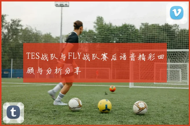TES战队与FLY战队赛后语音精彩回顾与分析分享