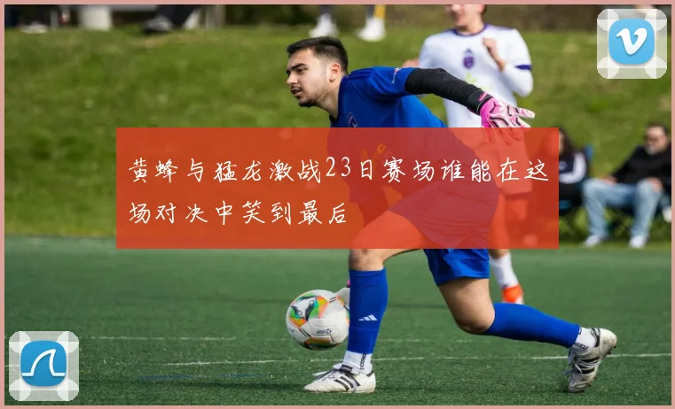 黄蜂与猛龙激战23日赛场谁能在这场对决中笑到最后