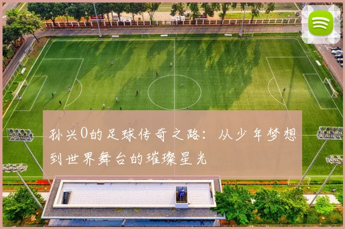 孙兴O的足球传奇之路：从少年梦想到世界舞台的璀璨星光