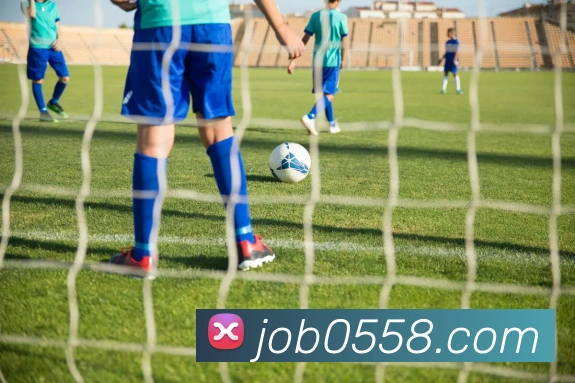 mk体育平台生态图